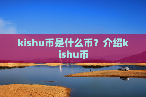 kishu币是什么币?介绍kishu币