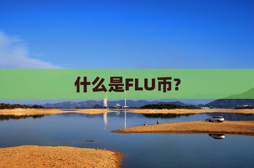 什么是FLU币?