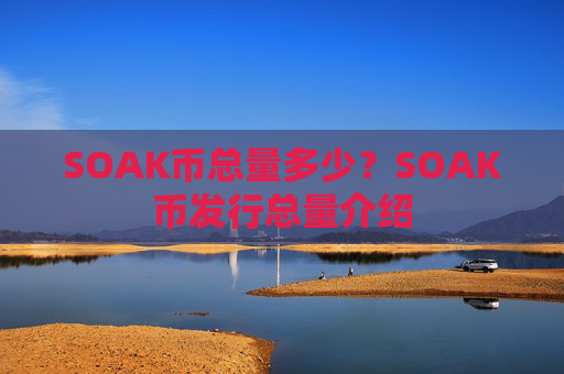 SOAK币总量多少?SOAK币发行总量介绍