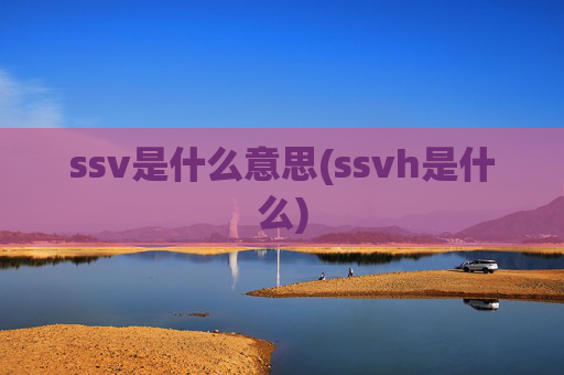 ssv是什么意思(ssvh是什么)