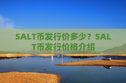 SALT币发行价多少?SALT币发行价格介绍