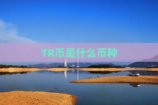 TR币是什么币种