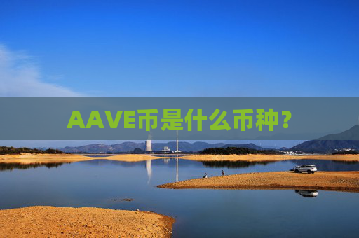 AAVE币是什么币种?