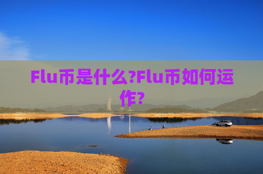 Flu币是什么?Flu币如何运作?