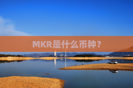 MKR是什么币种?