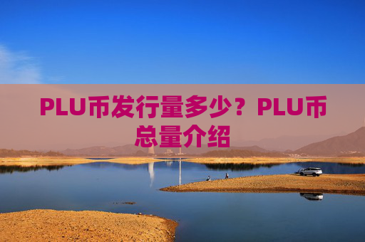 PLU币发行量多少?PLU币总量介绍