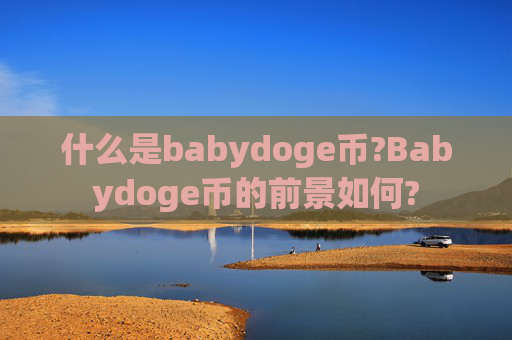什么是babydoge币?Babydoge币的前景如何?