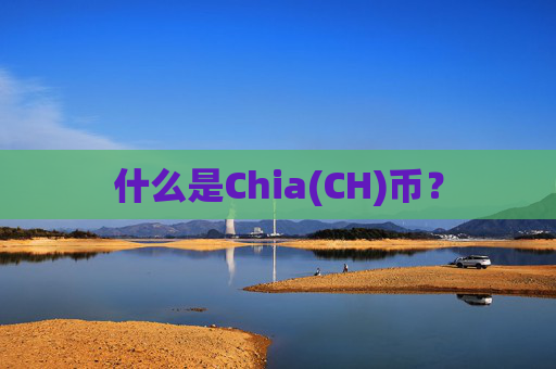 什么是Chia(CH)币?