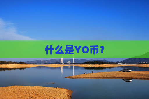 什么是YO币?
