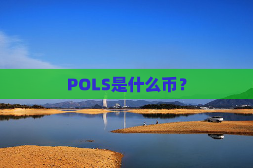 POLS是什么币?