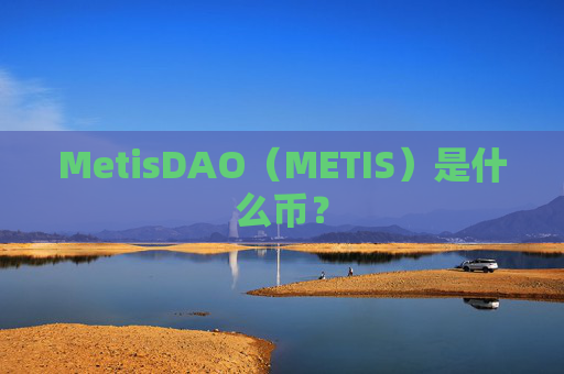 MetisDAO(METIS)是什么币?