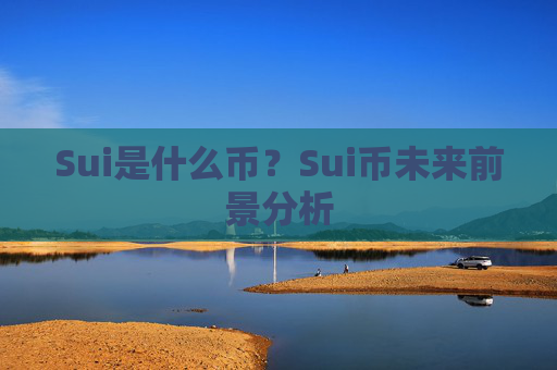 Sui是什么币?Sui币未来前景分析