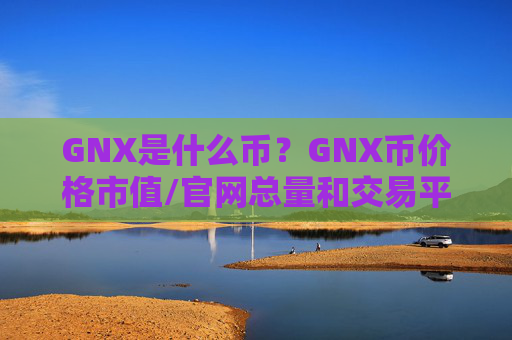GNX是什么币?GNX币价格市值/官网总量和交易平台介绍
