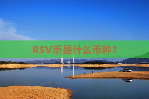 RSV币是什么币种?