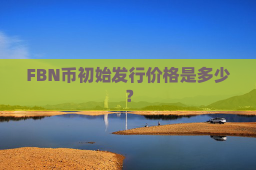 FBN币初始发行价格是多少?