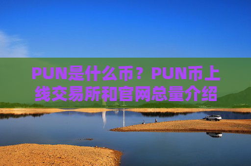 PUN是什么币?PUN币上线交易所和官网总量介绍