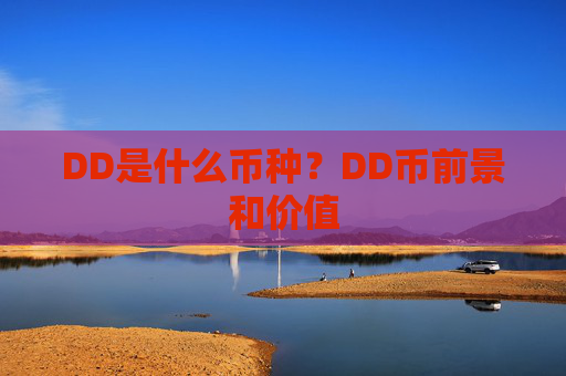 DD是什么币种？DD币前景和价值