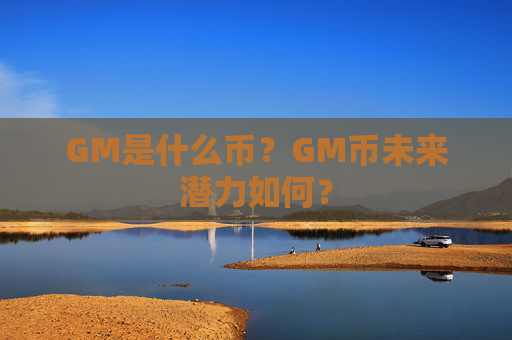 GM是什么币？GM币未来潜力如何？