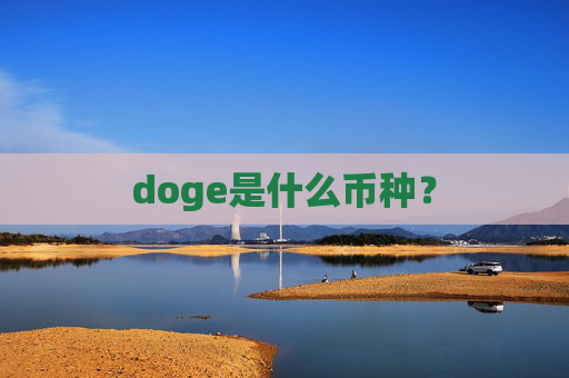 doge是什么币种?