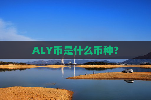 ALY币是什么币种?