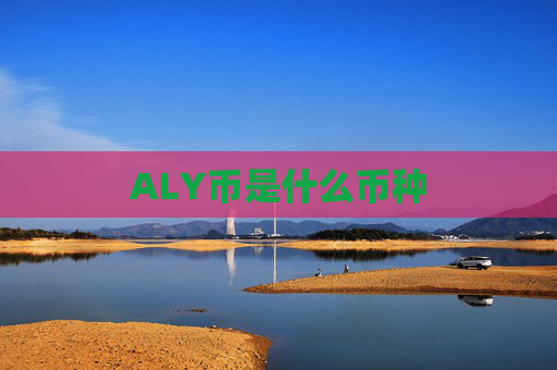 ALY币是什么币种