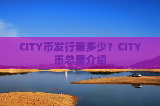 CITY币发行量多少？CITY币总量介绍