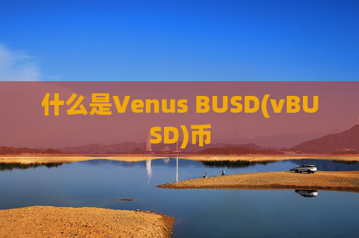 什么是Venus BUSD(vBUSD)币