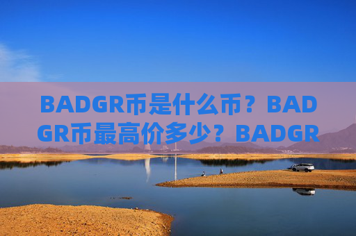 BADGR币是什么币?BADGR币最高价多少?BADGR币历史最高价和最低价介绍