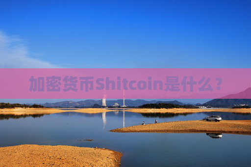 加密货币Shitcoin是什么？