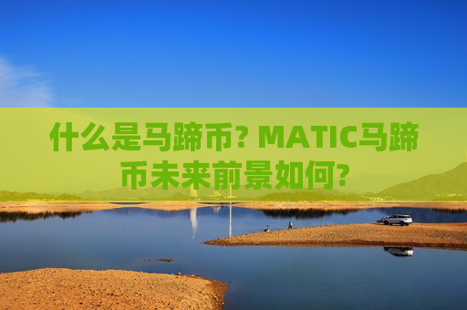 什么是马蹄币? MATIC马蹄币未来前景如何?