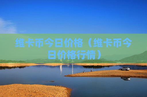 维卡币今日价格(维卡币今日价格行情)