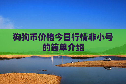 狗狗币价格今日行情非小号的简单介绍