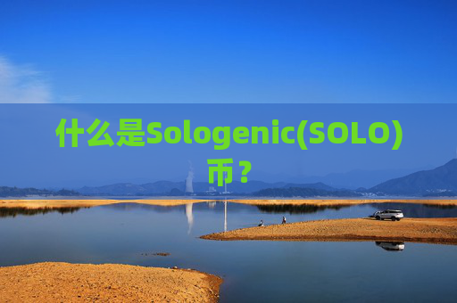 什么是Sologenic(SOLO)币?