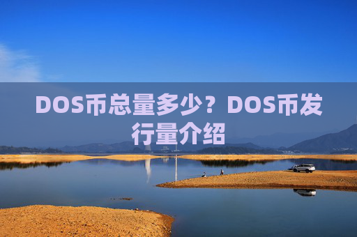 DOS币总量多少？DOS币发行量介绍