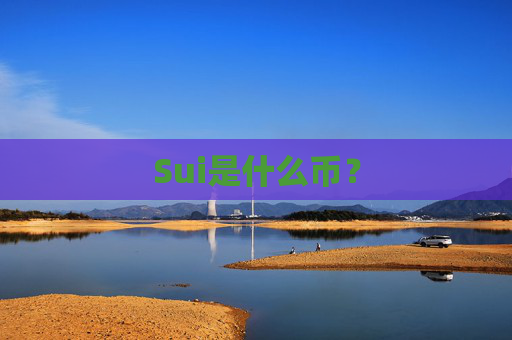 Sui是什么币？