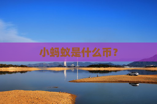 小蚂蚁是什么币？