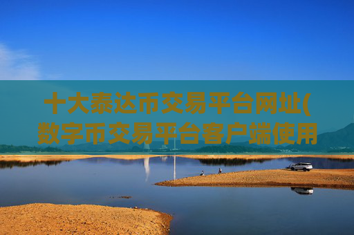 十大泰达币交易平台网址(数字币交易平台客户端使用)