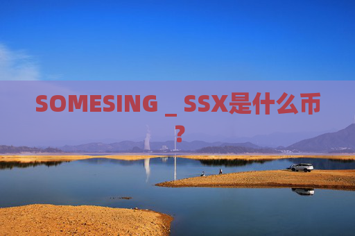 SOMESING _ SSX是什么币？