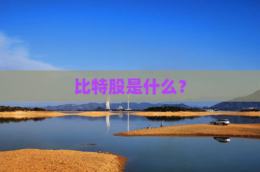 比特股是什么？