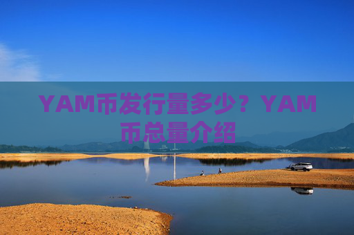 YAM币发行量多少？YAM币总量介绍