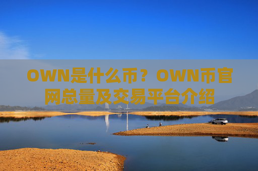 OWN是什么币？OWN币官网总量及交易平台介绍