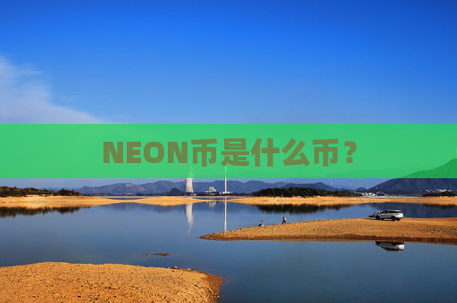 NEON币是什么币？