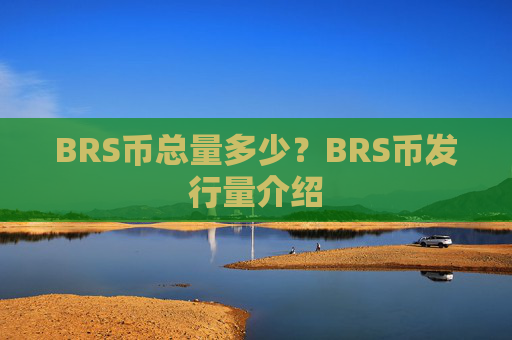BRS币总量多少？BRS币发行量介绍