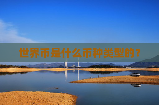 世界币是什么币种类型的？