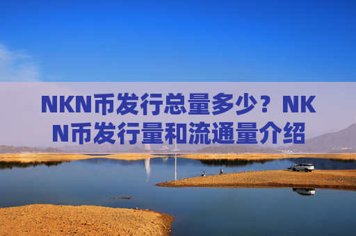 NKN币发行总量多少？NKN币发行量和流通量介绍