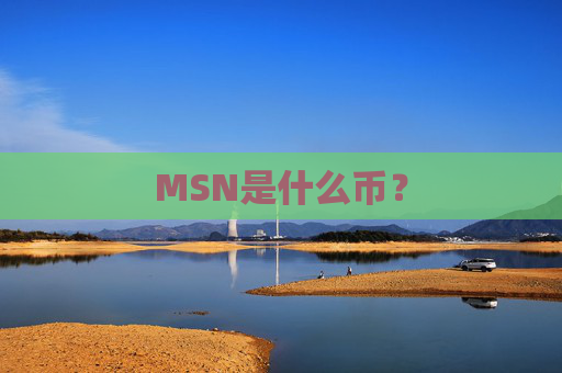 MSN是什么币？