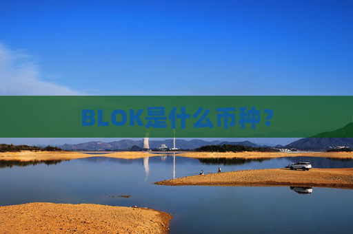 BLOK是什么币种？