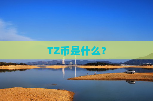 TZ币是什么？