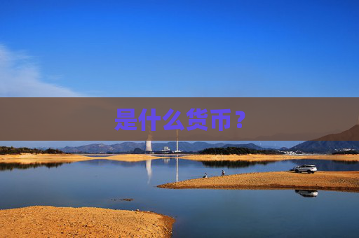 是什么货币？