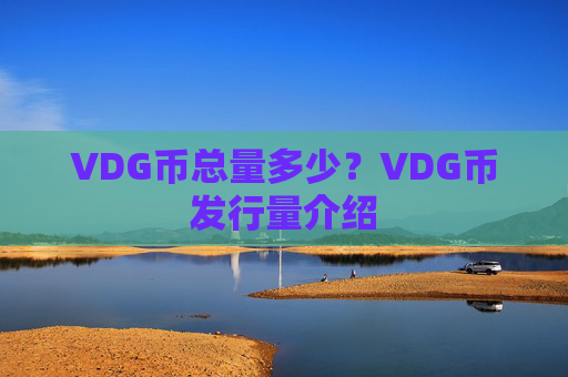 VDG币总量多少？VDG币发行量介绍